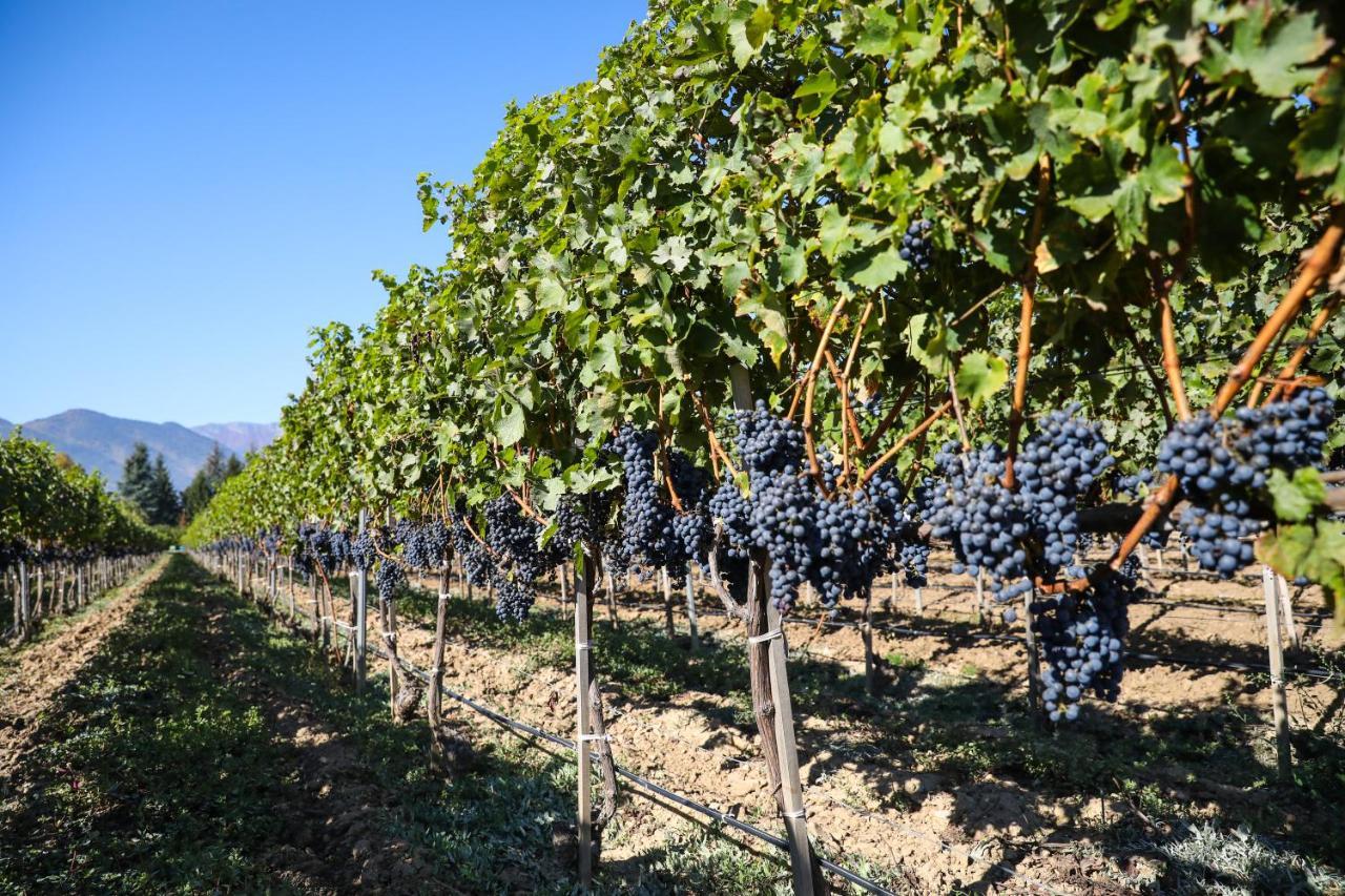 Uva Nestum Wine & Spa Gotse Delchev Ngoại thất bức ảnh